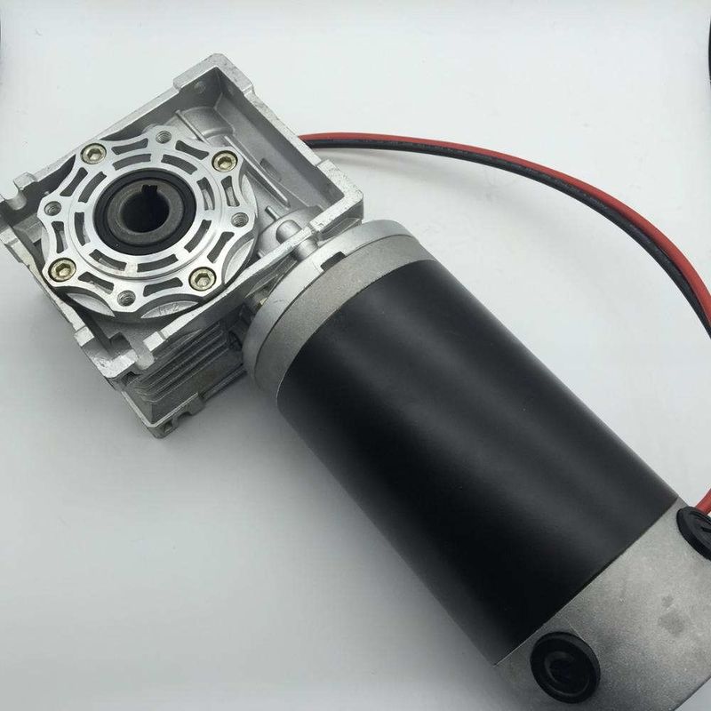 NMRV040.90ZYT Big Torque Motorized Worm Gear DC Electric Worm Gear Motor 12 Volt 24 Volt