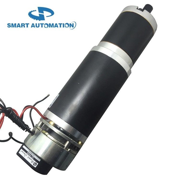 Automatic Dc Door Opener Motor 12v 24v with Worm Planetary Gearbox for Door Gates Automation Opening Lifting and Sliding